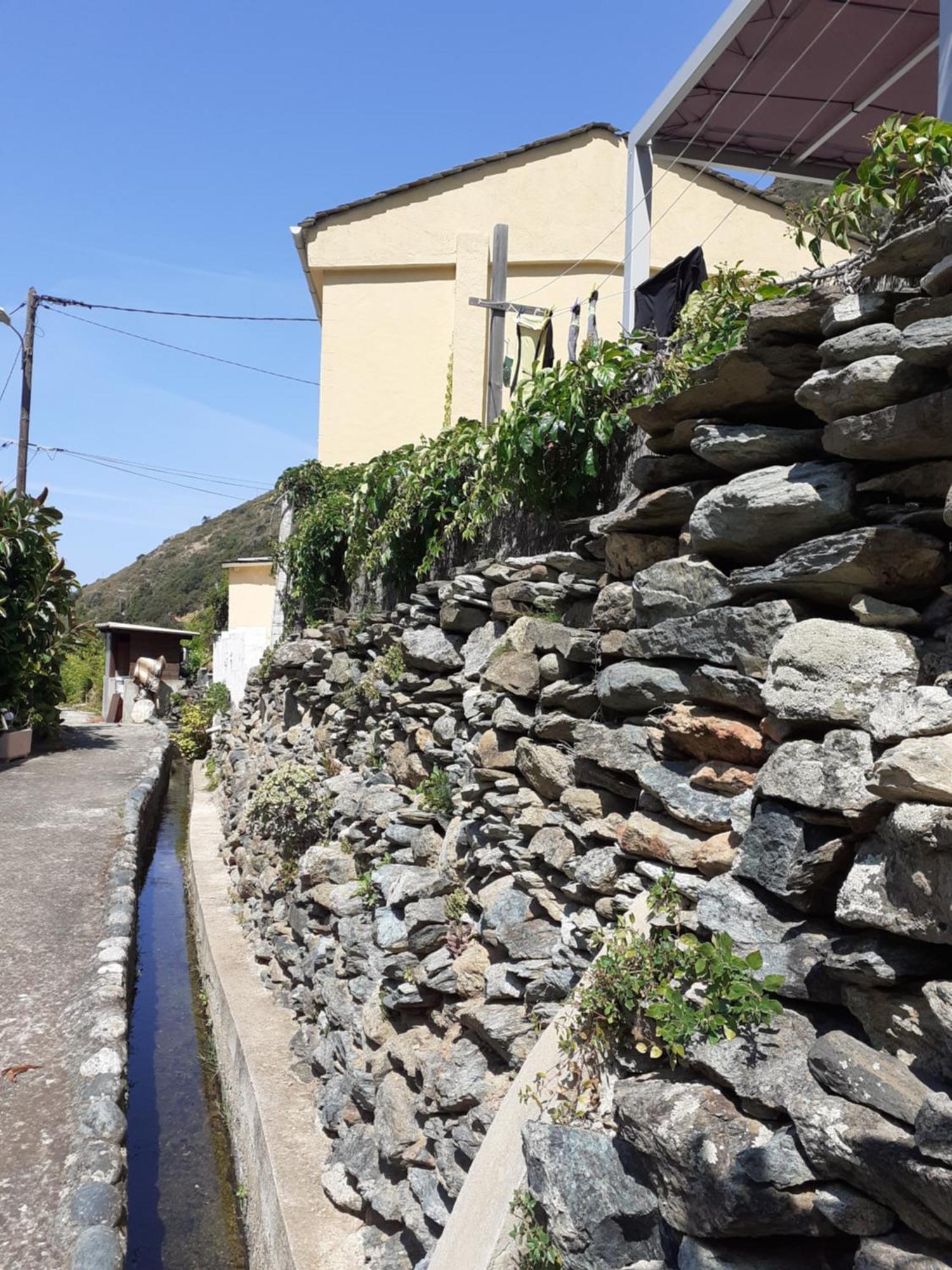 Cap Corse - Maison A 500M De La Plage Grillasca Eksteriør bilde